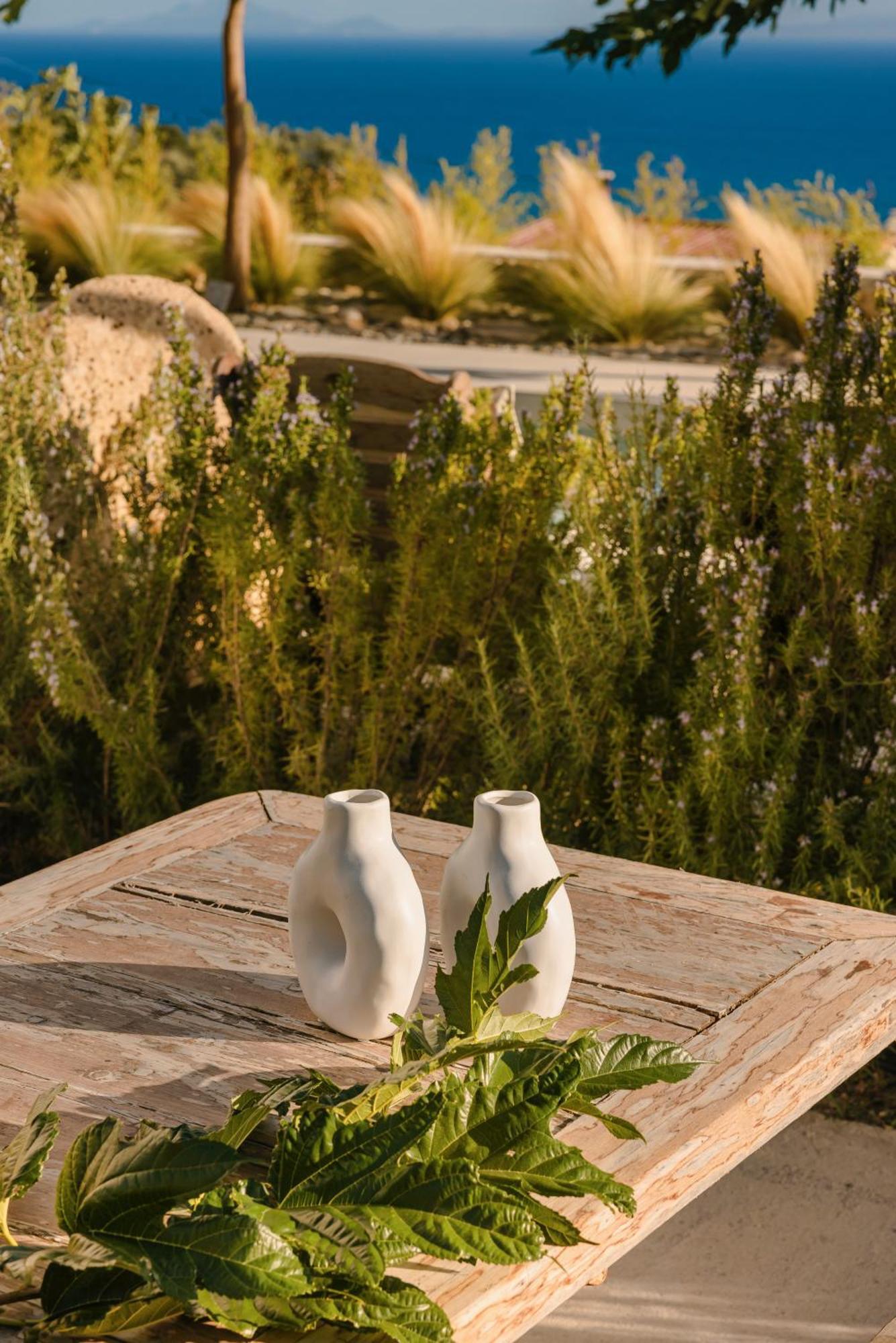 Spathes Suites Kefalonia - Luxury Suites Ratzaklíon 外观 照片