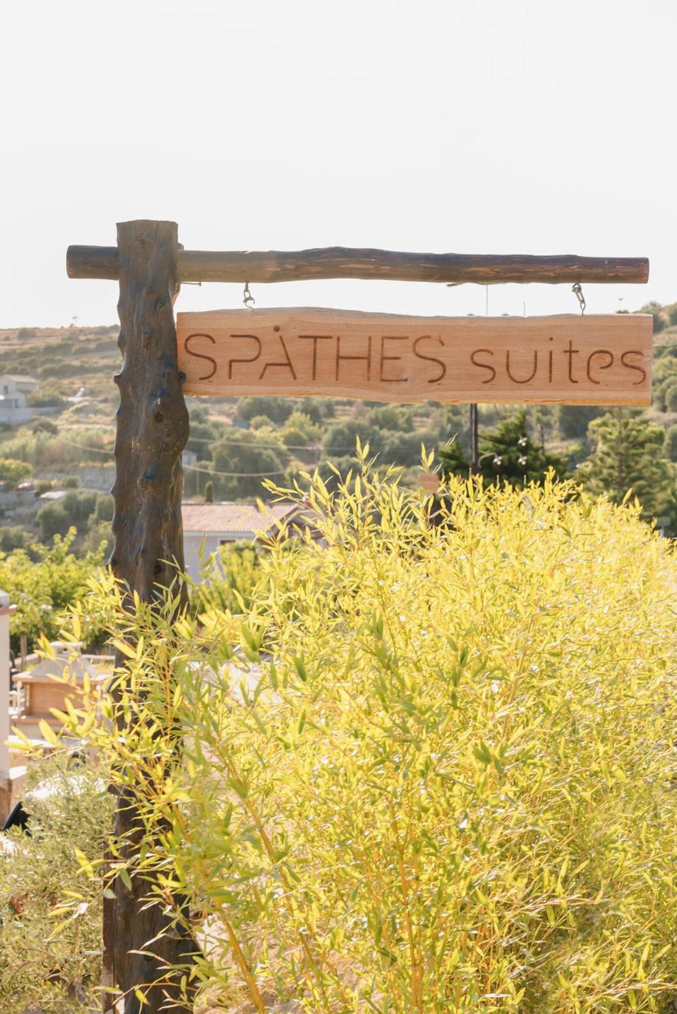 Spathes Suites Kefalonia - Luxury Suites Ratzaklíon 外观 照片